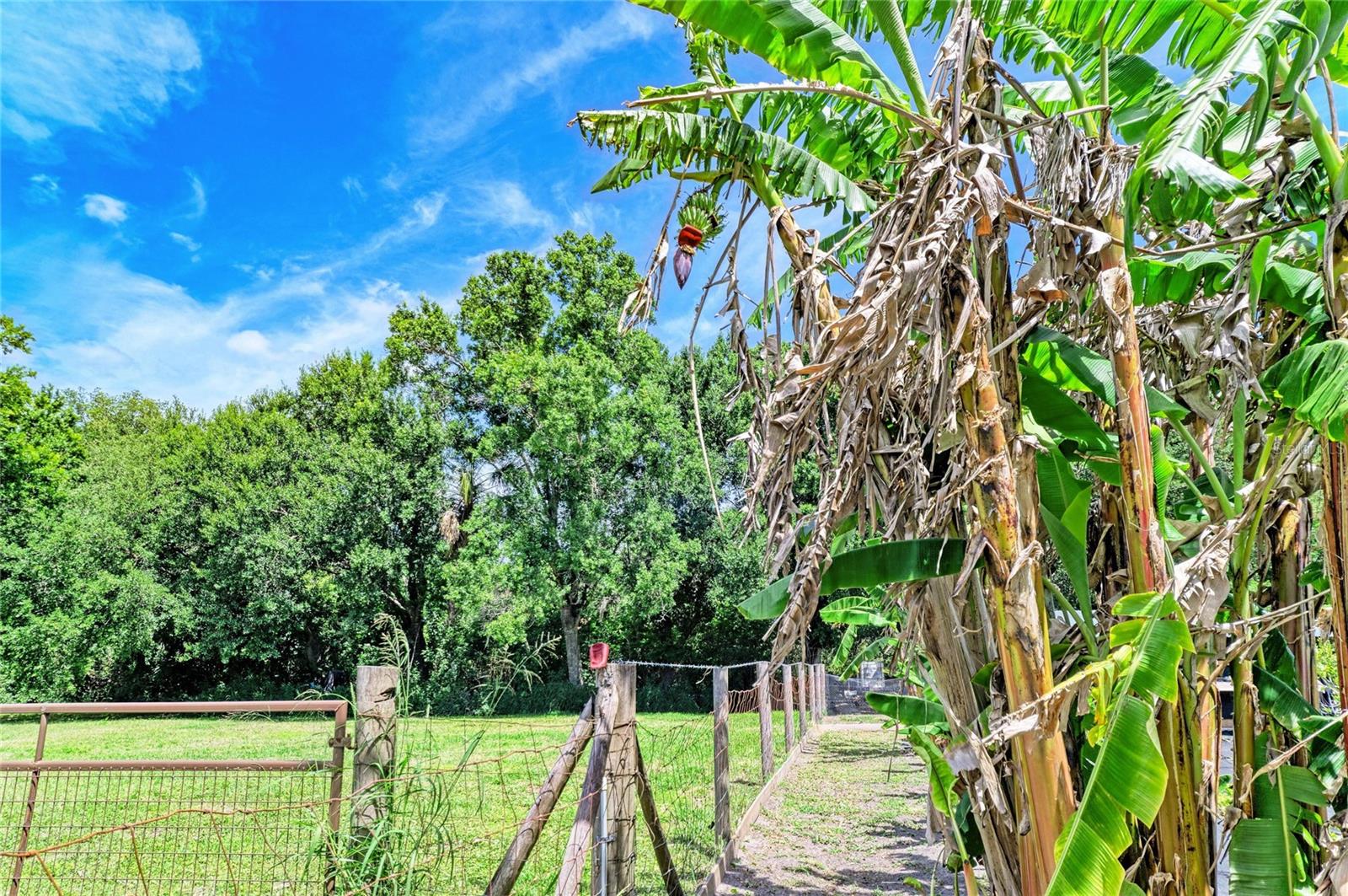 12010 69TH ST E, PARRISH, FL, 34219