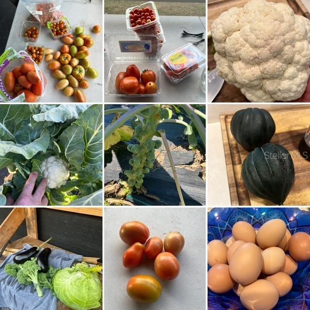 12010 69TH ST E, PARRISH, FL, 34219