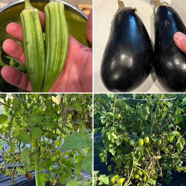 12010 69TH ST E, PARRISH, FL, 34219