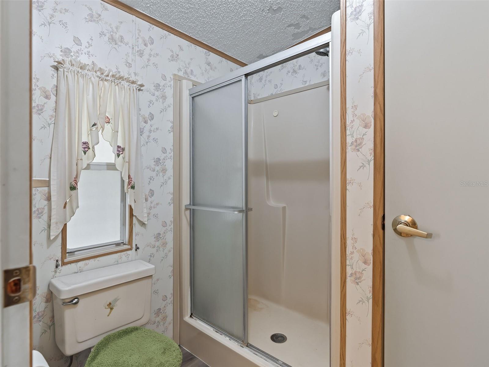 12655 SE 101ST CT, BELLEVIEW, FL, 34420