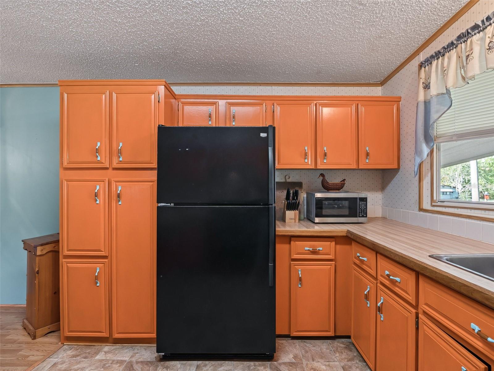 12655 SE 101ST CT, BELLEVIEW, FL, 34420