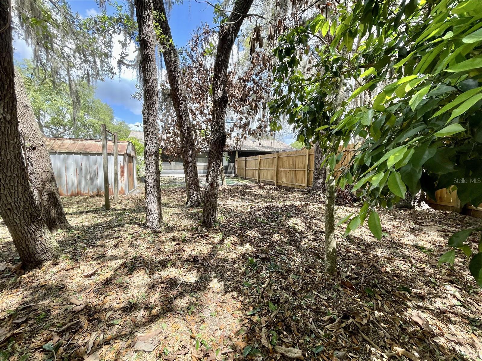 9816 RIVER CREST CT, ORLANDO, FL, 32825