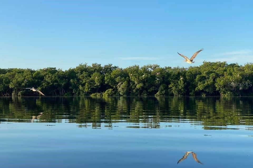 10913 LIBERTY DR, PORT RICHEY, FL, 34668