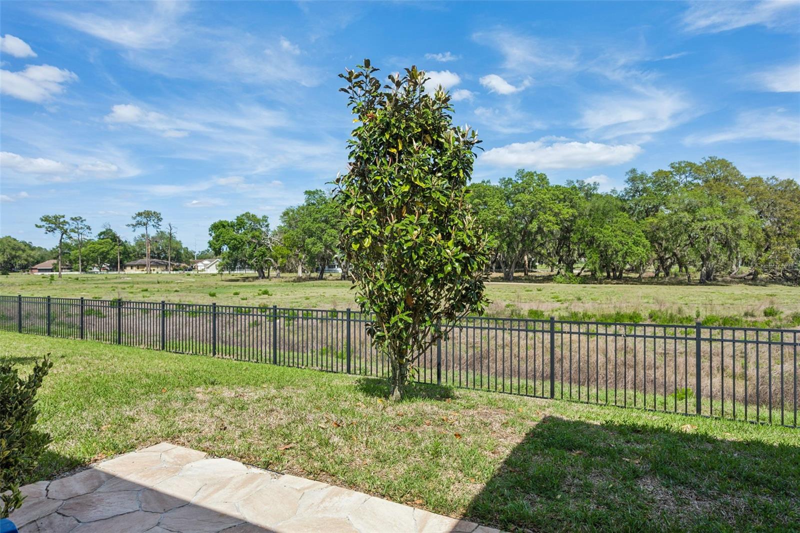 6382 BRADFORD WOODS DR, ZEPHYRHILLS, FL, 33542