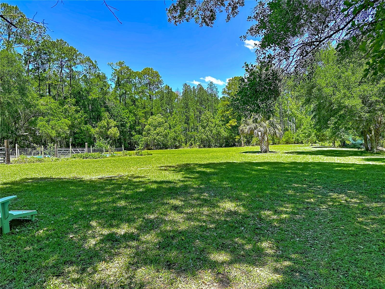 10371 E HIGHWAY 316, FORT MC COY, FL, 32134