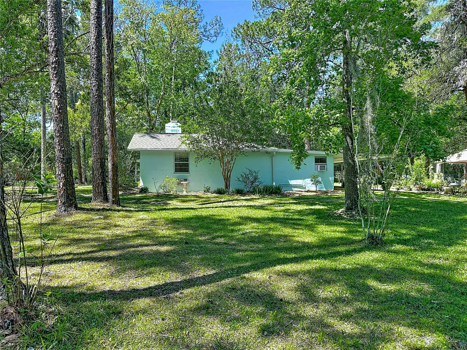 10371 E HIGHWAY 316, FORT MC COY, FL, 32134