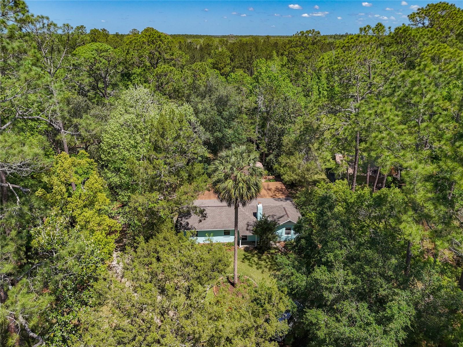 10371 E HIGHWAY 316, FORT MC COY, FL, 32134