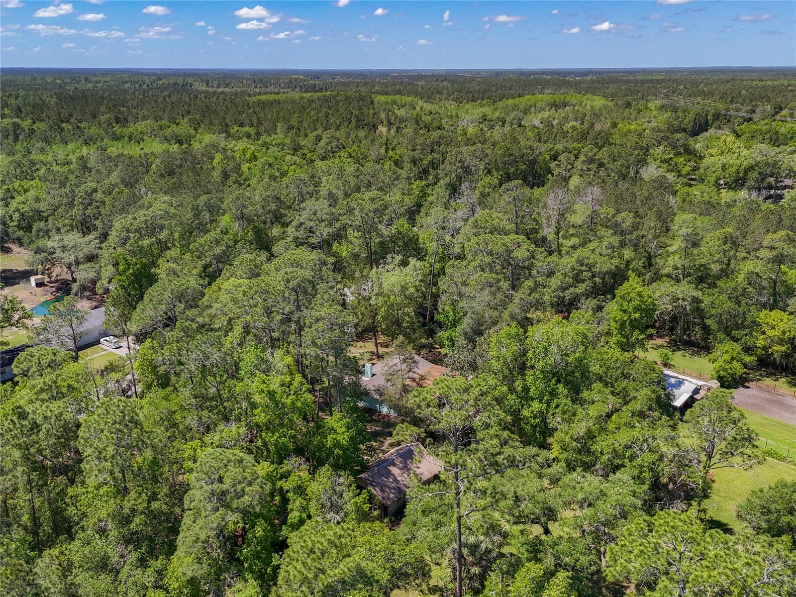 10371 E HIGHWAY 316, FORT MC COY, FL, 32134