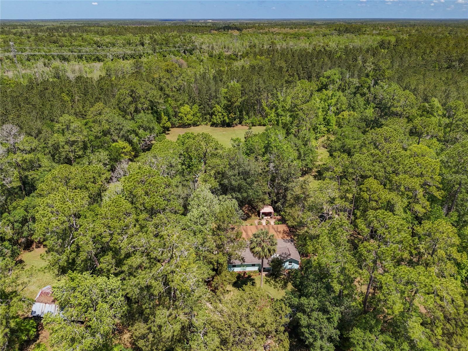 10371 E HIGHWAY 316, FORT MC COY, FL, 32134