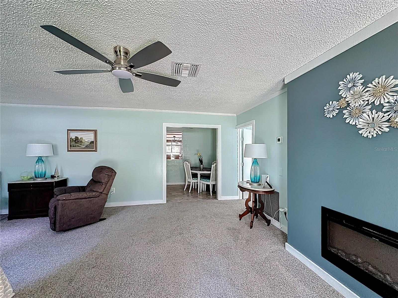 10371 E HIGHWAY 316, FORT MC COY, FL, 32134