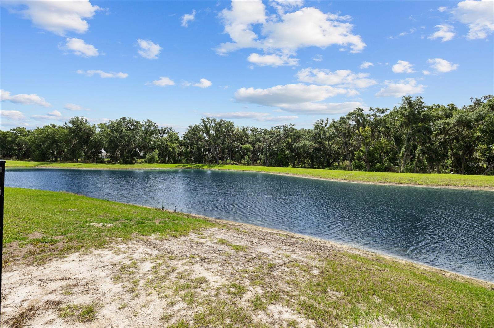 12940 STEED TRACE LOOP, LITHIA, FL, 33547