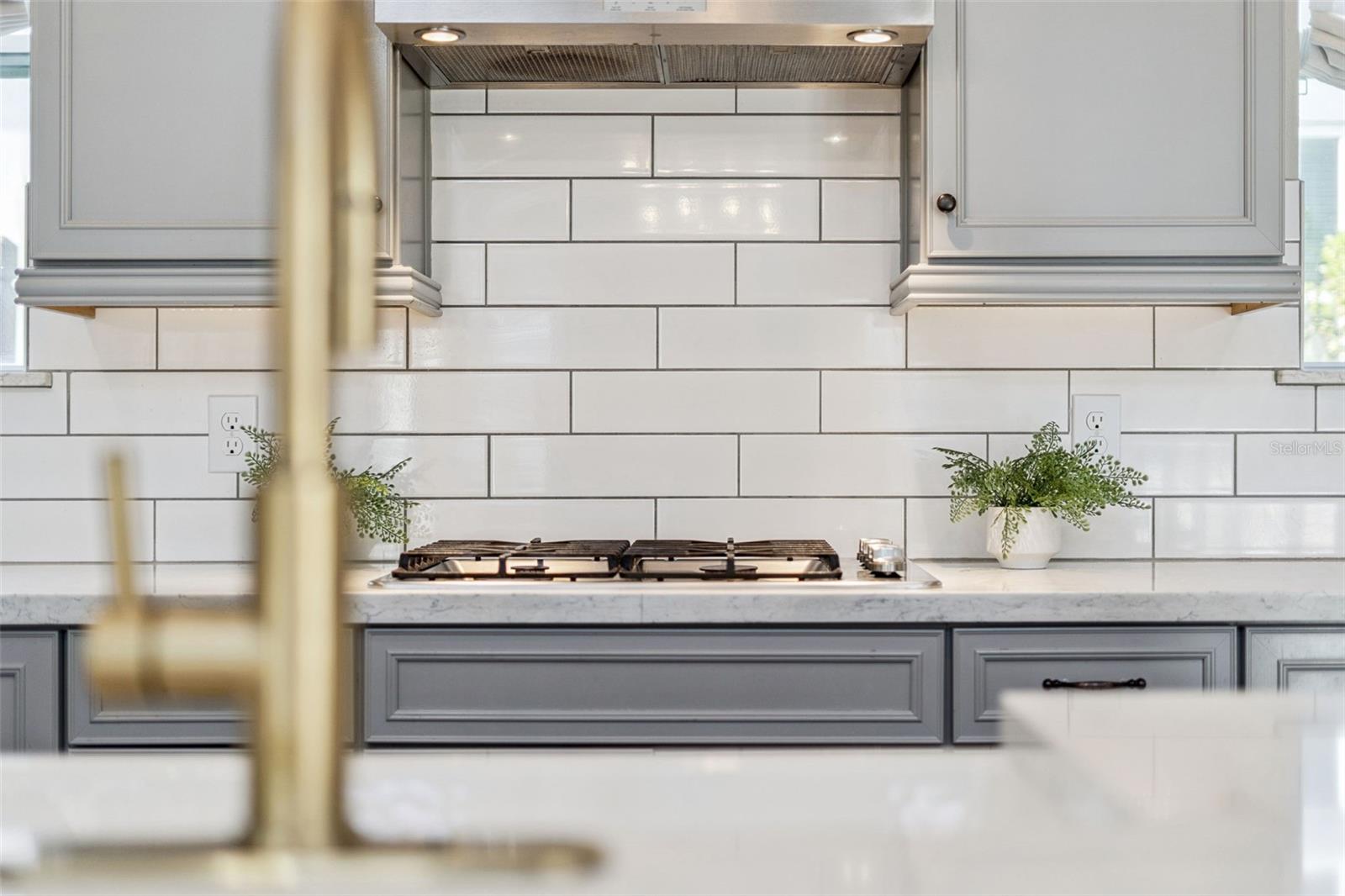 13132 LOWER HARDEN AVE, ORLANDO, FL, 32827