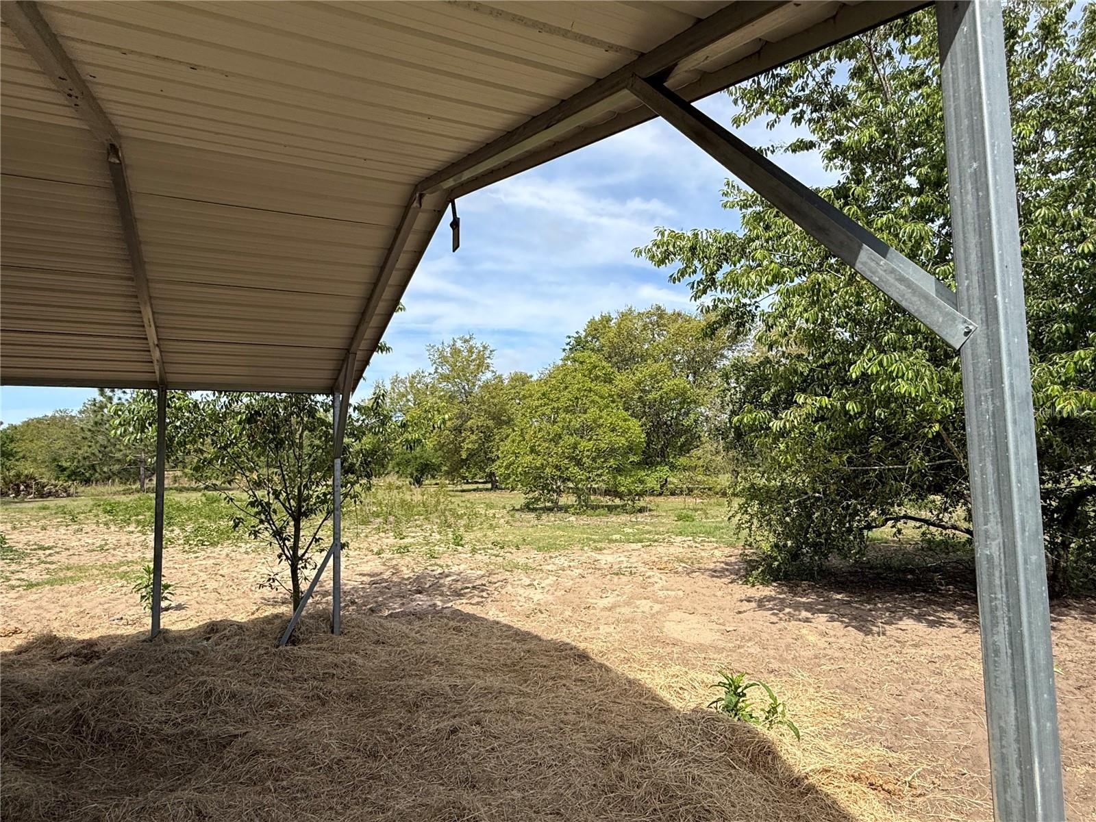 11090 SE 165TH TERRACE RD, OCKLAWAHA, FL, 32179