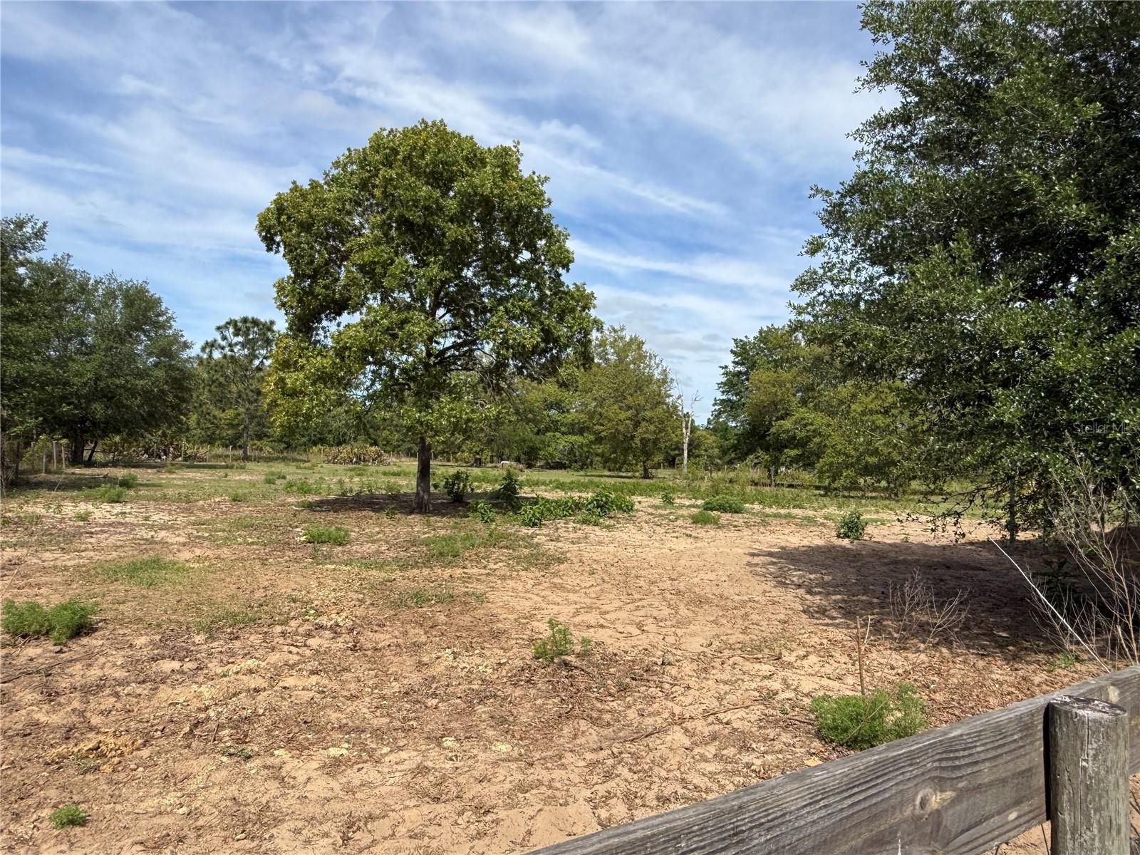 11090 SE 165TH TERRACE RD, OCKLAWAHA, FL, 32179