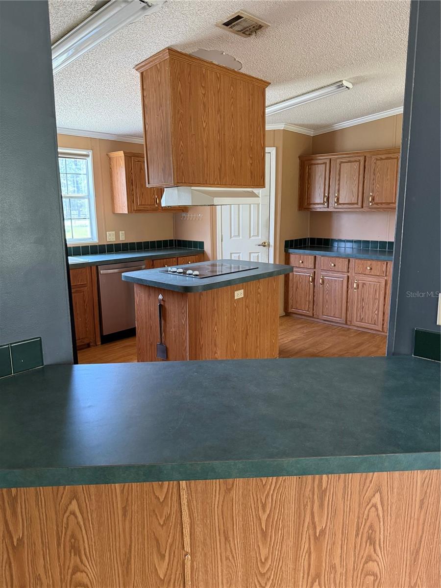 11090 SE 165TH TERRACE RD, OCKLAWAHA, FL, 32179