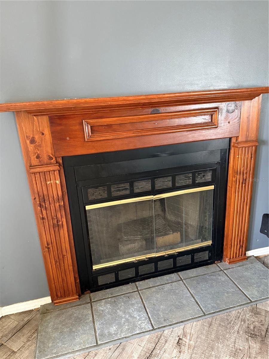 11090 SE 165TH TERRACE RD, OCKLAWAHA, FL, 32179