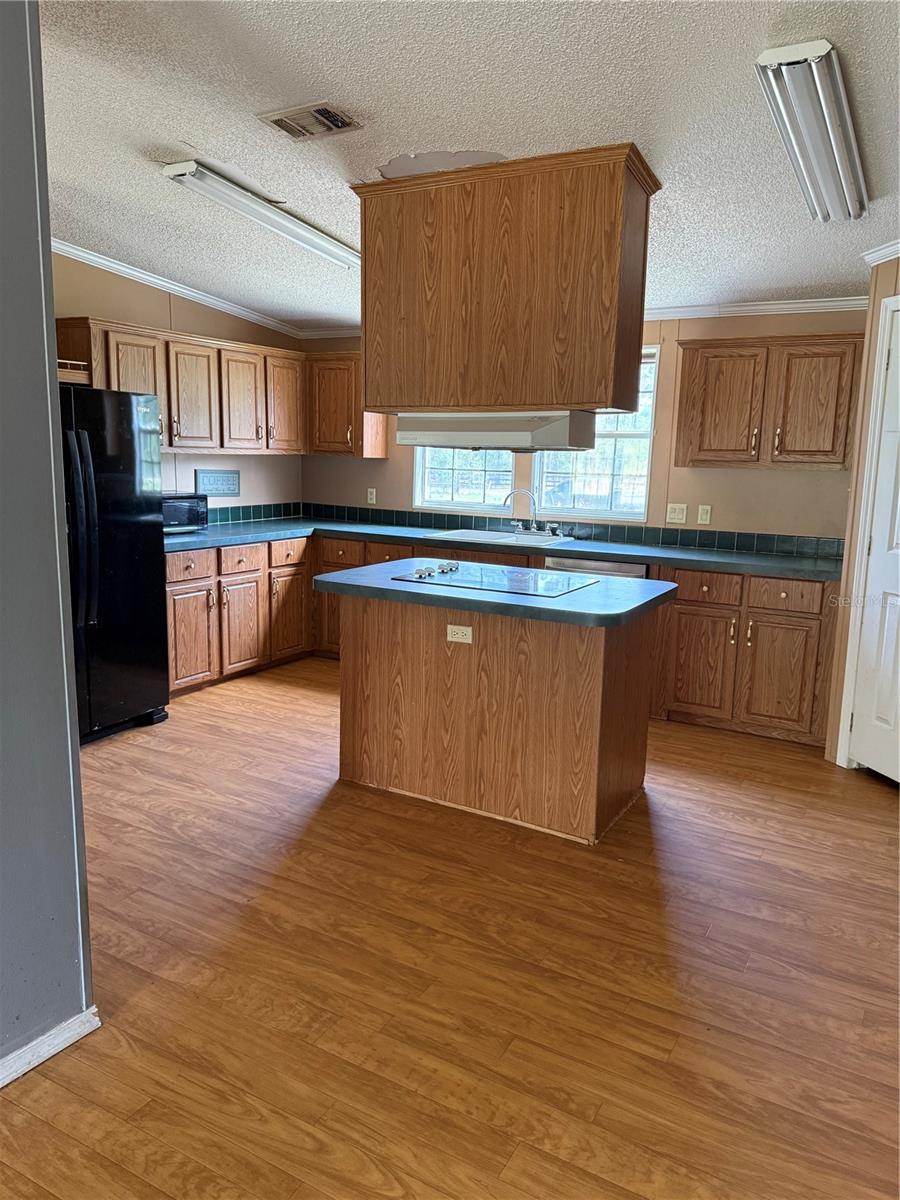 11090 SE 165TH TERRACE RD, OCKLAWAHA, FL, 32179