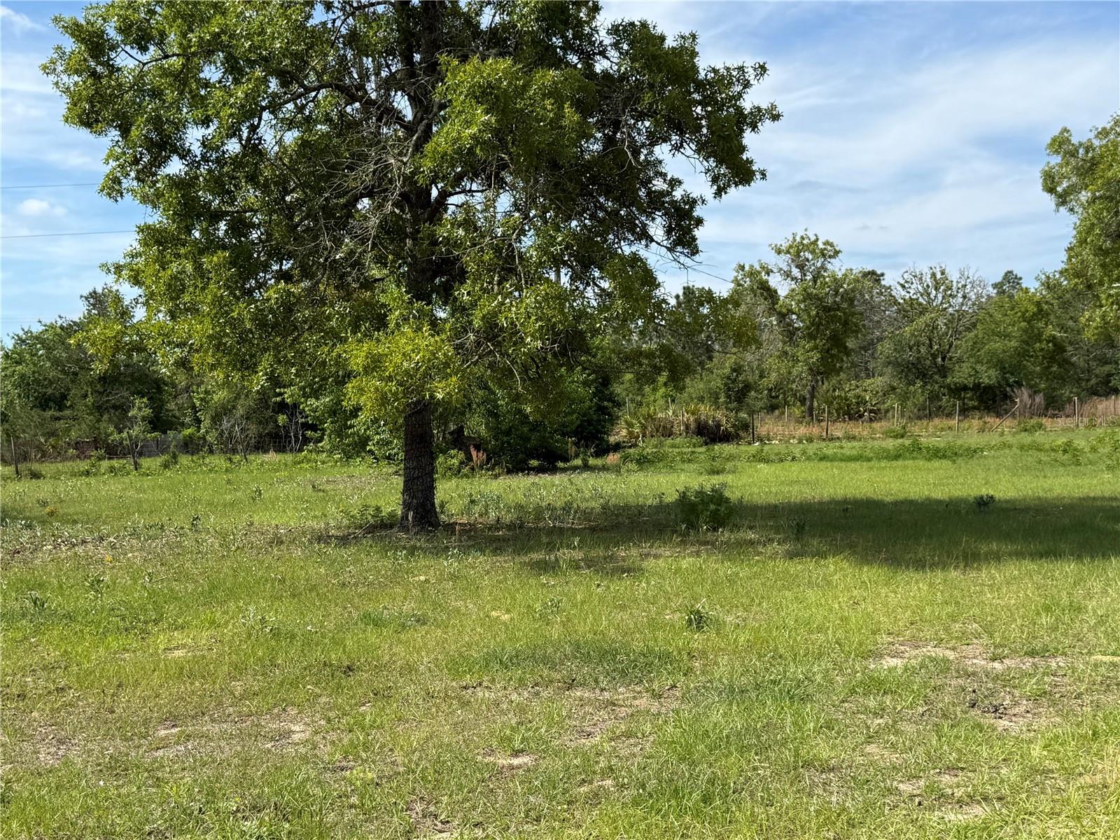 11090 SE 165TH TERRACE RD, OCKLAWAHA, FL, 32179