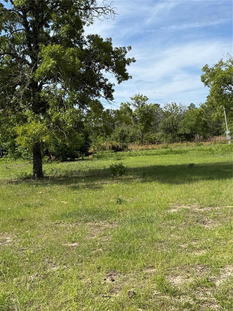 11090 SE 165TH TERRACE RD, OCKLAWAHA, FL, 32179