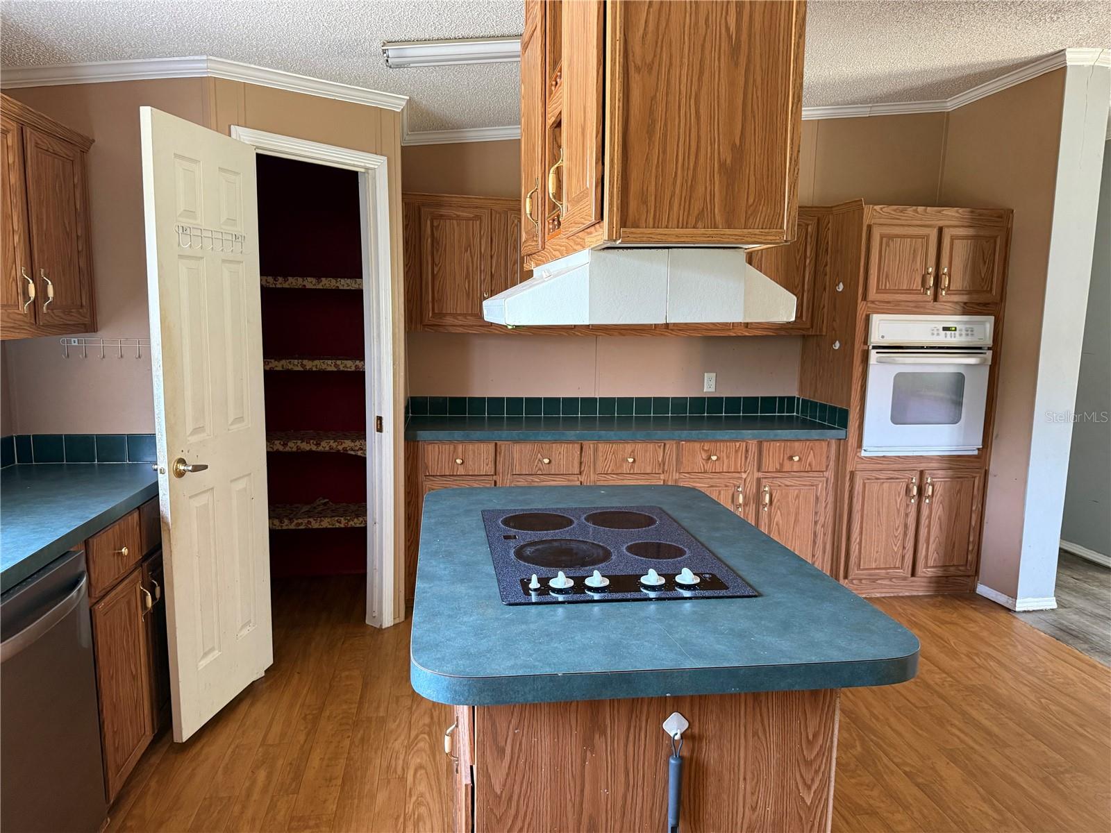 11090 SE 165TH TERRACE RD, OCKLAWAHA, FL, 32179