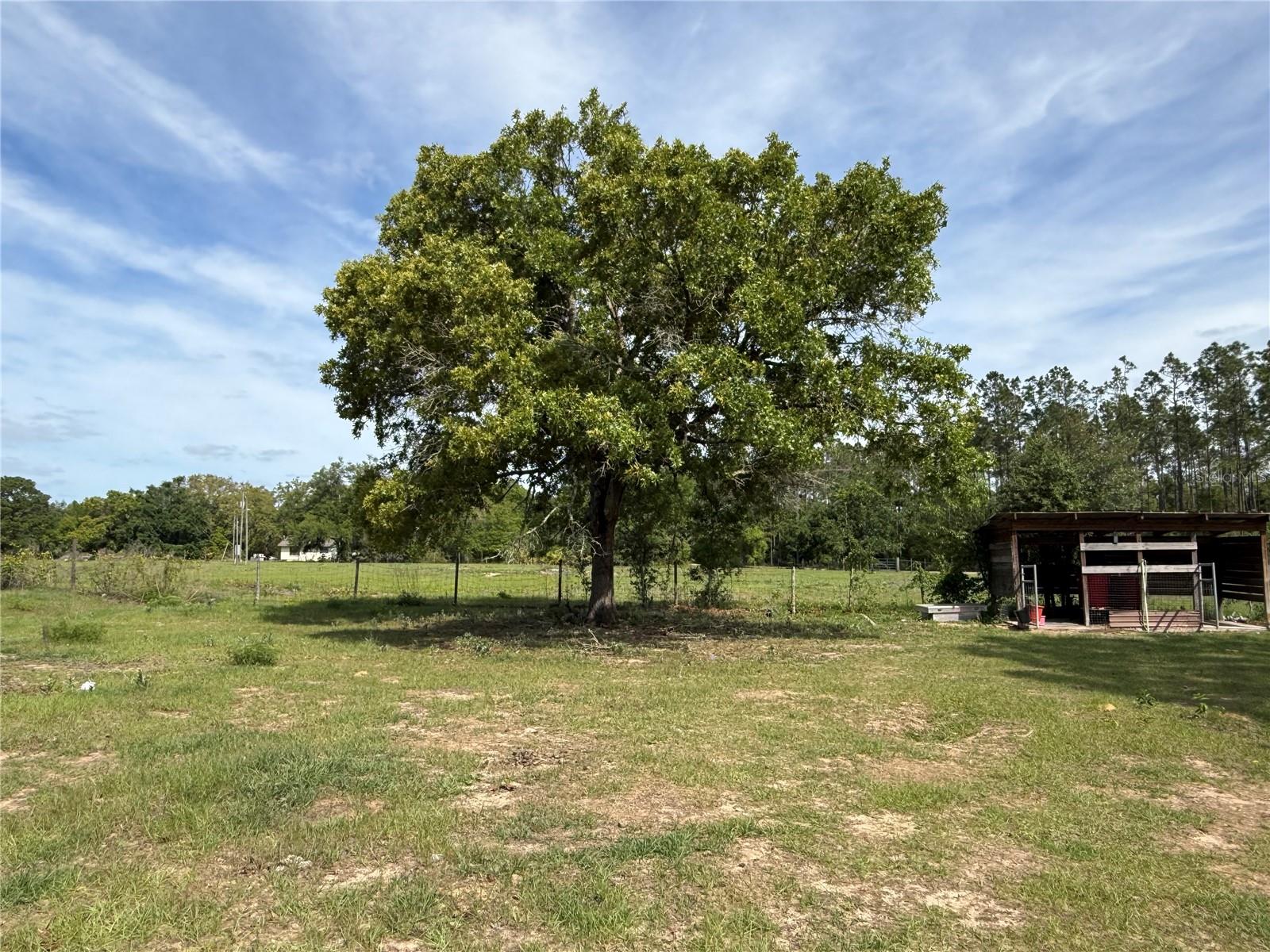 11090 SE 165TH TERRACE RD, OCKLAWAHA, FL, 32179