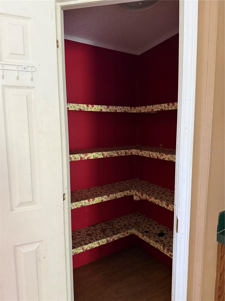 11090 SE 165TH TERRACE RD, OCKLAWAHA, FL, 32179