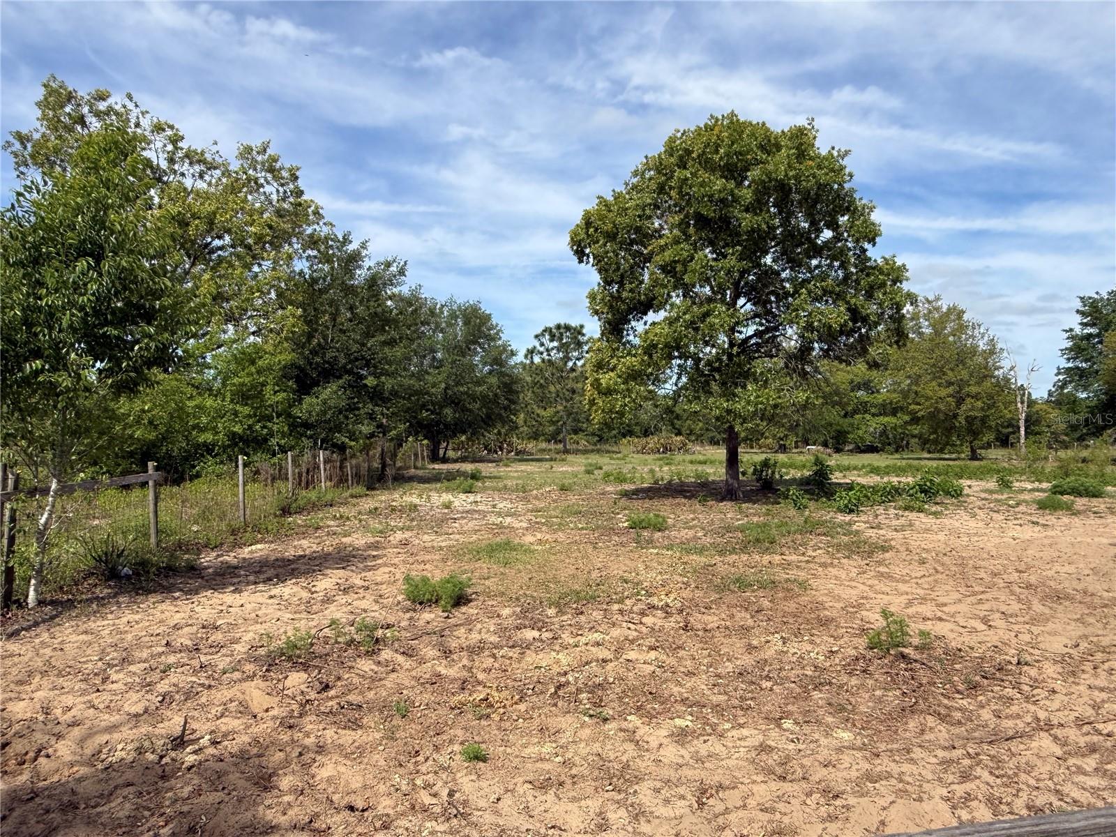 11090 SE 165TH TERRACE RD, OCKLAWAHA, FL, 32179