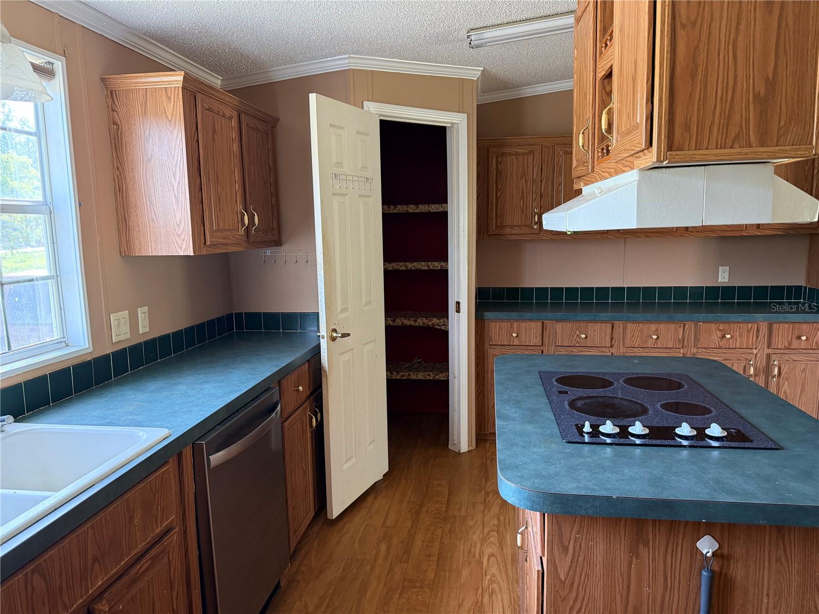 11090 SE 165TH TERRACE RD, OCKLAWAHA, FL, 32179