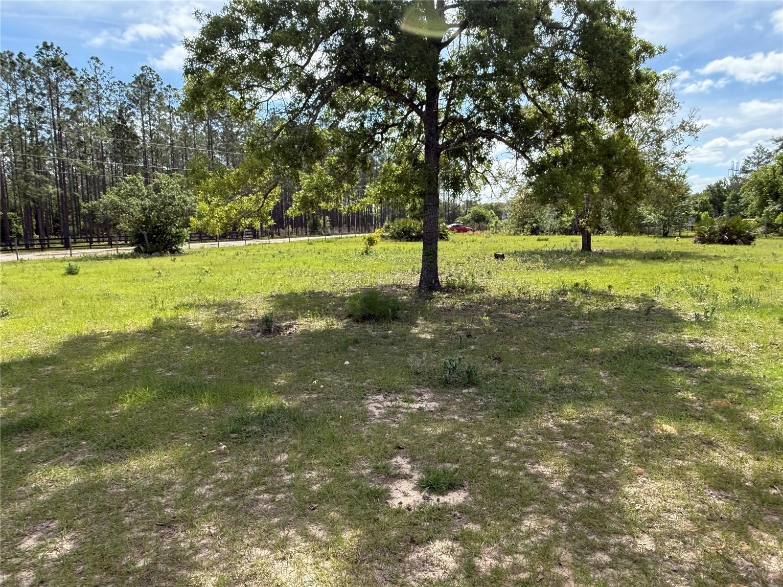 11090 SE 165TH TERRACE RD, OCKLAWAHA, FL, 32179