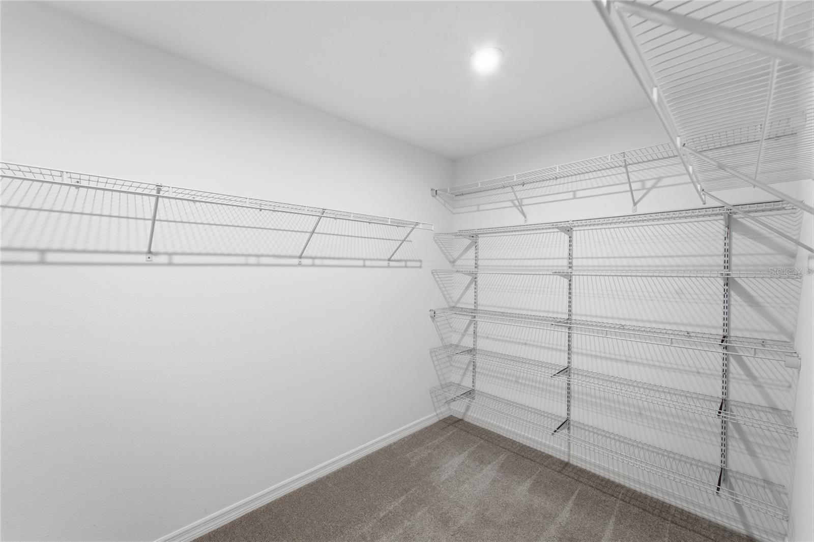 3383 FLORIGOLD GROVE ST #Lot 244, CLERMONT, FL, 34711