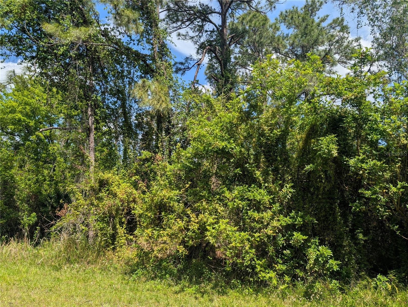 204 ALLAMANDA DR, INDIAN LAKE ESTATES, FL, 33855