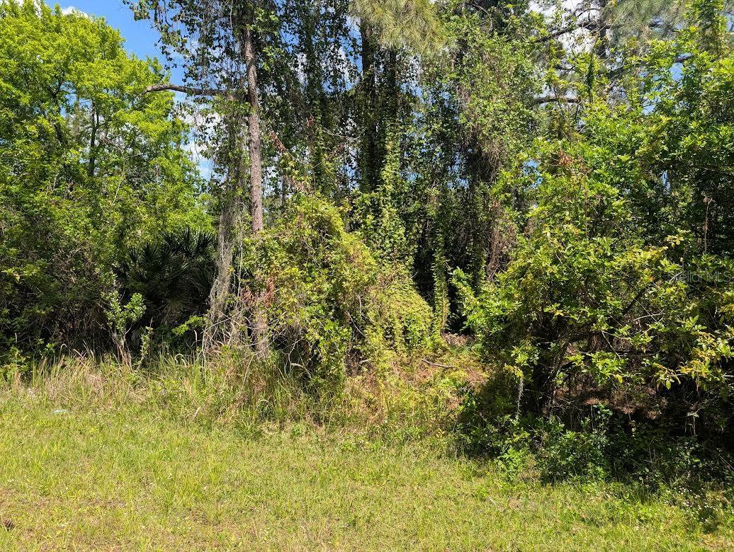 204 ALLAMANDA DR, INDIAN LAKE ESTATES, FL, 33855