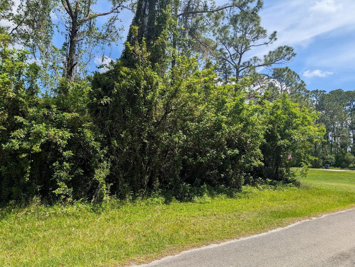 204 ALLAMANDA DR, INDIAN LAKE ESTATES, FL, 33855