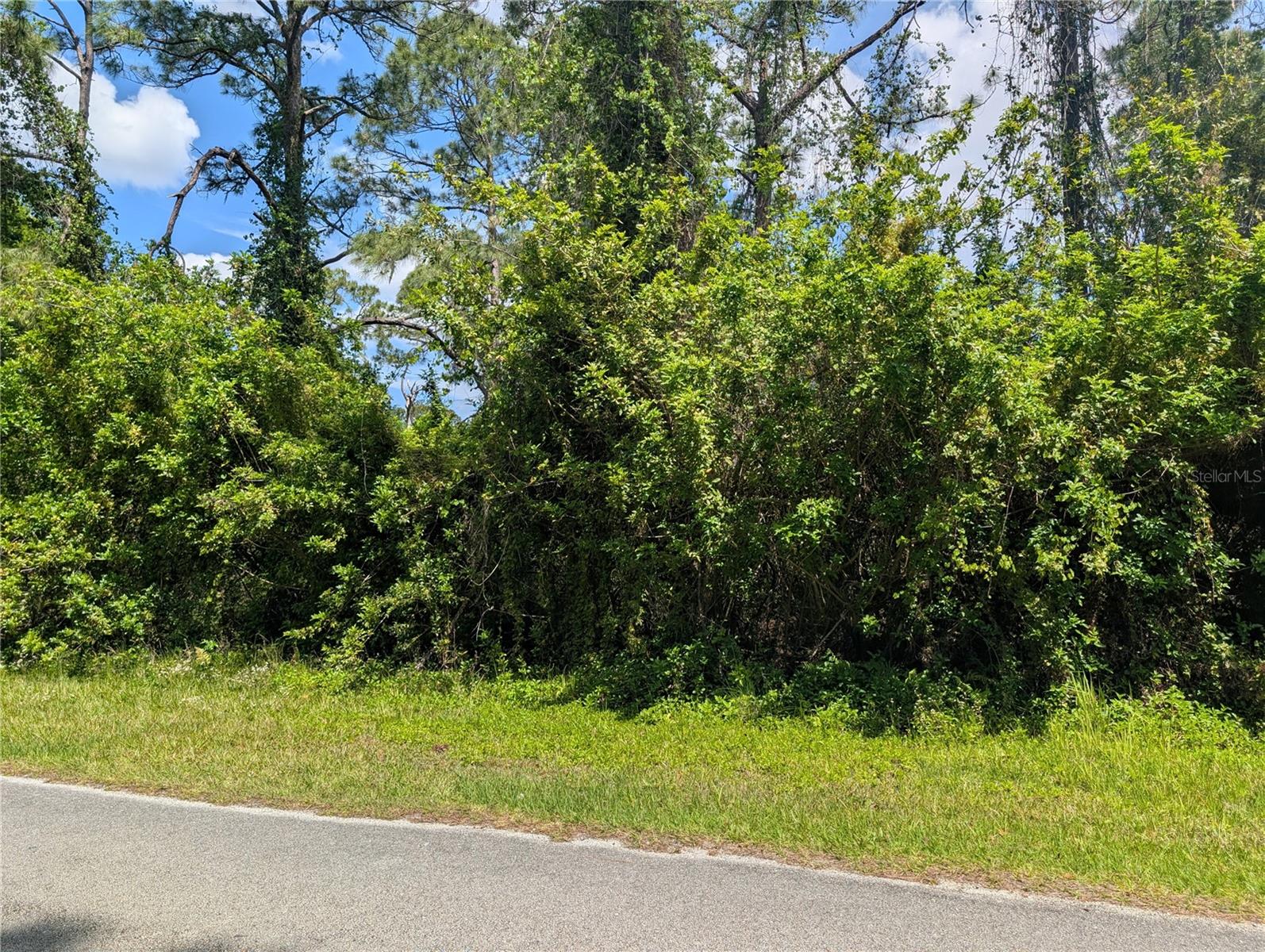 204 ALLAMANDA DR, INDIAN LAKE ESTATES, FL, 33855