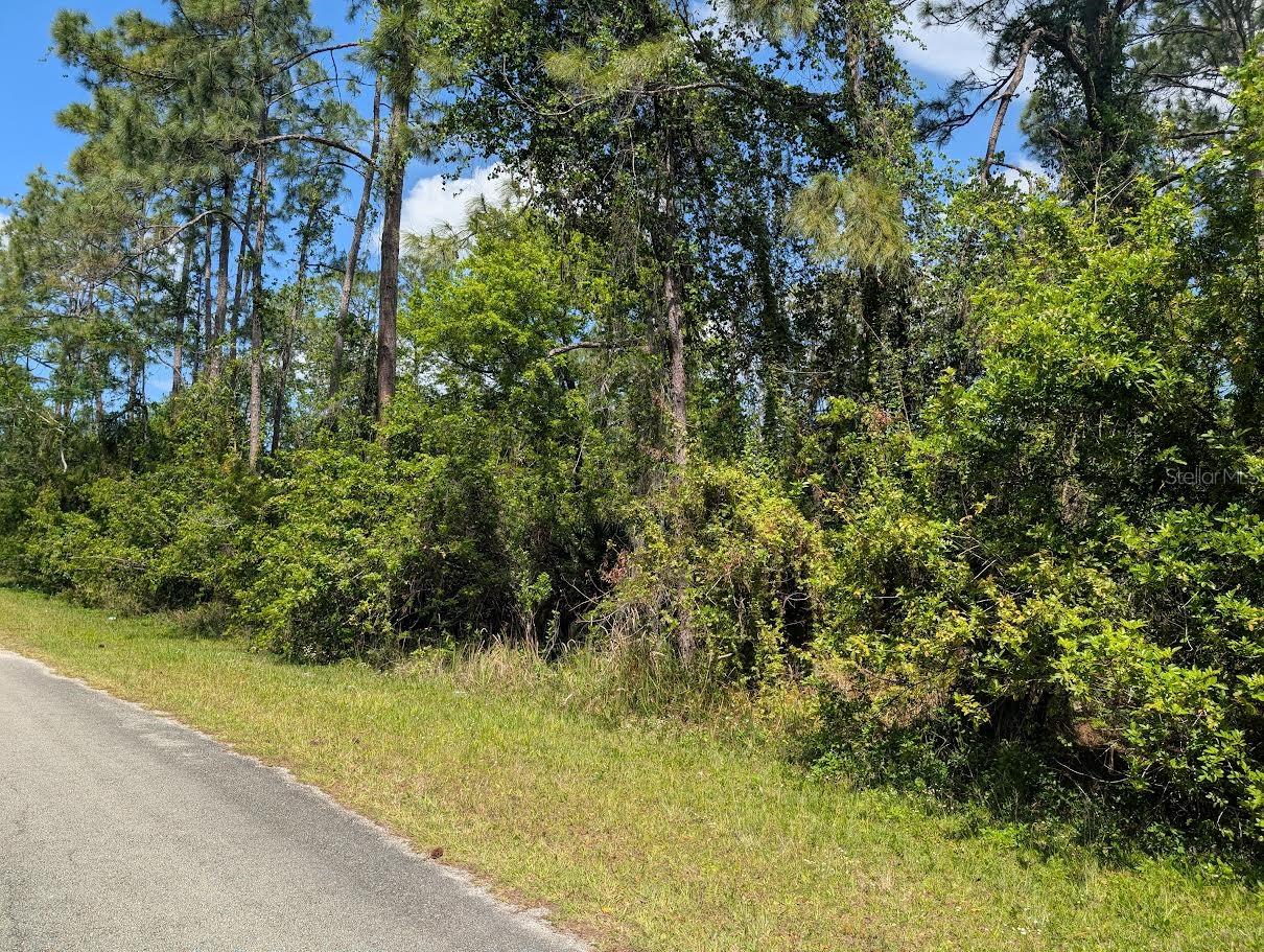 204 ALLAMANDA DR, INDIAN LAKE ESTATES, FL, 33855