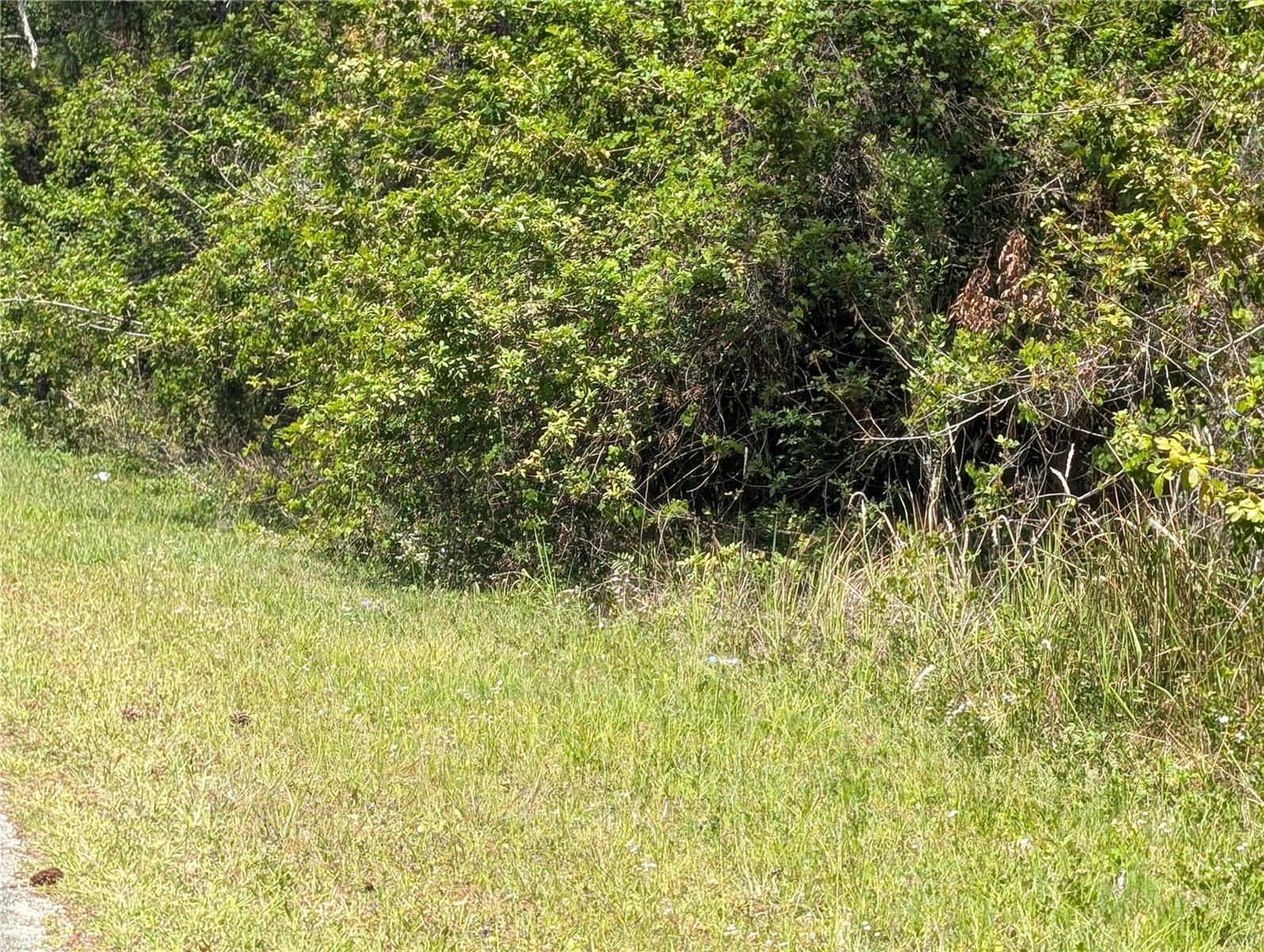 204 ALLAMANDA DR, INDIAN LAKE ESTATES, FL, 33855