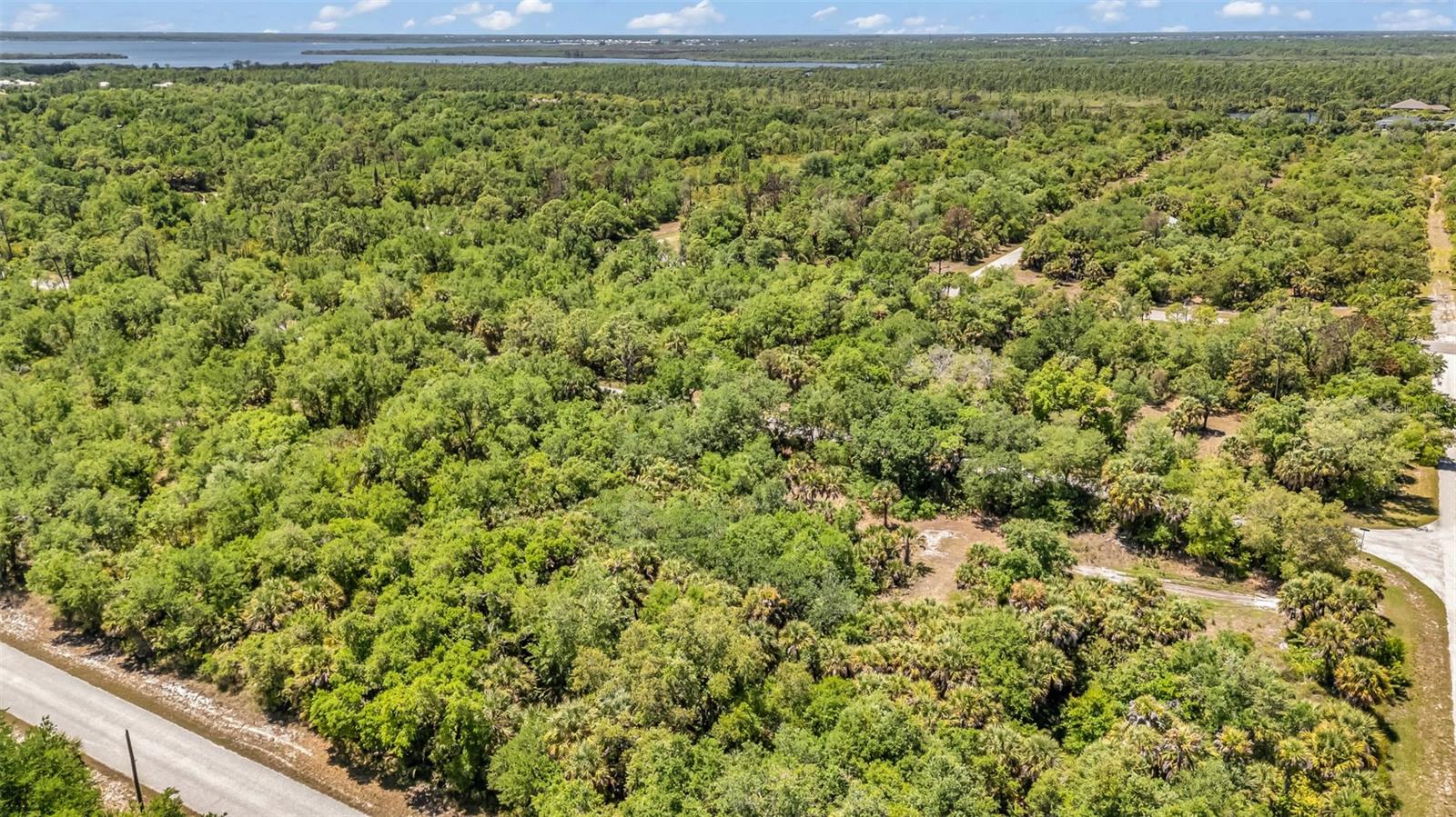 17045 ALVIN AVE, PORT CHARLOTTE, FL, 33948