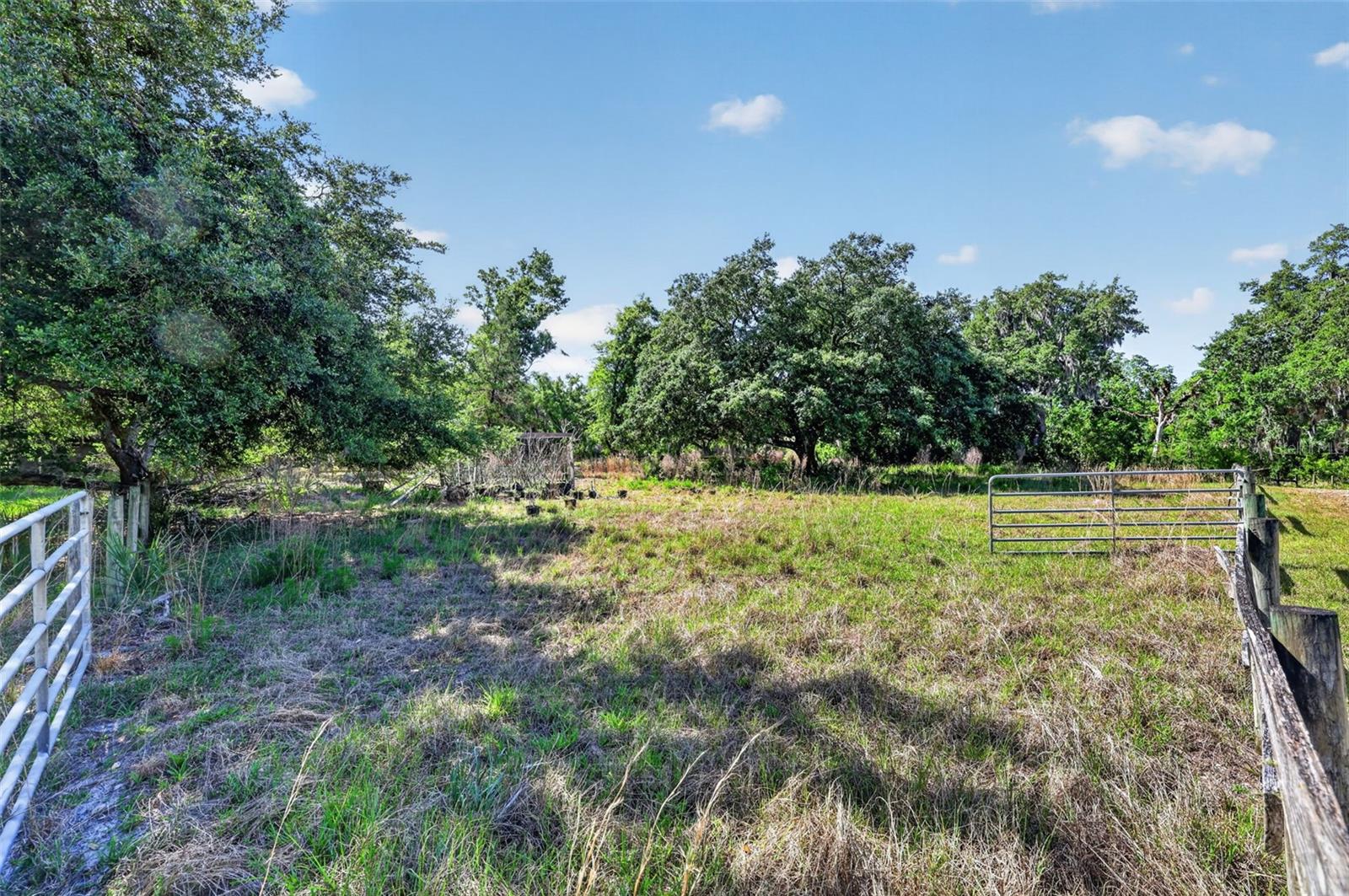 5330 MYAKKA VALLEY TRL, SARASOTA, FL, 34241