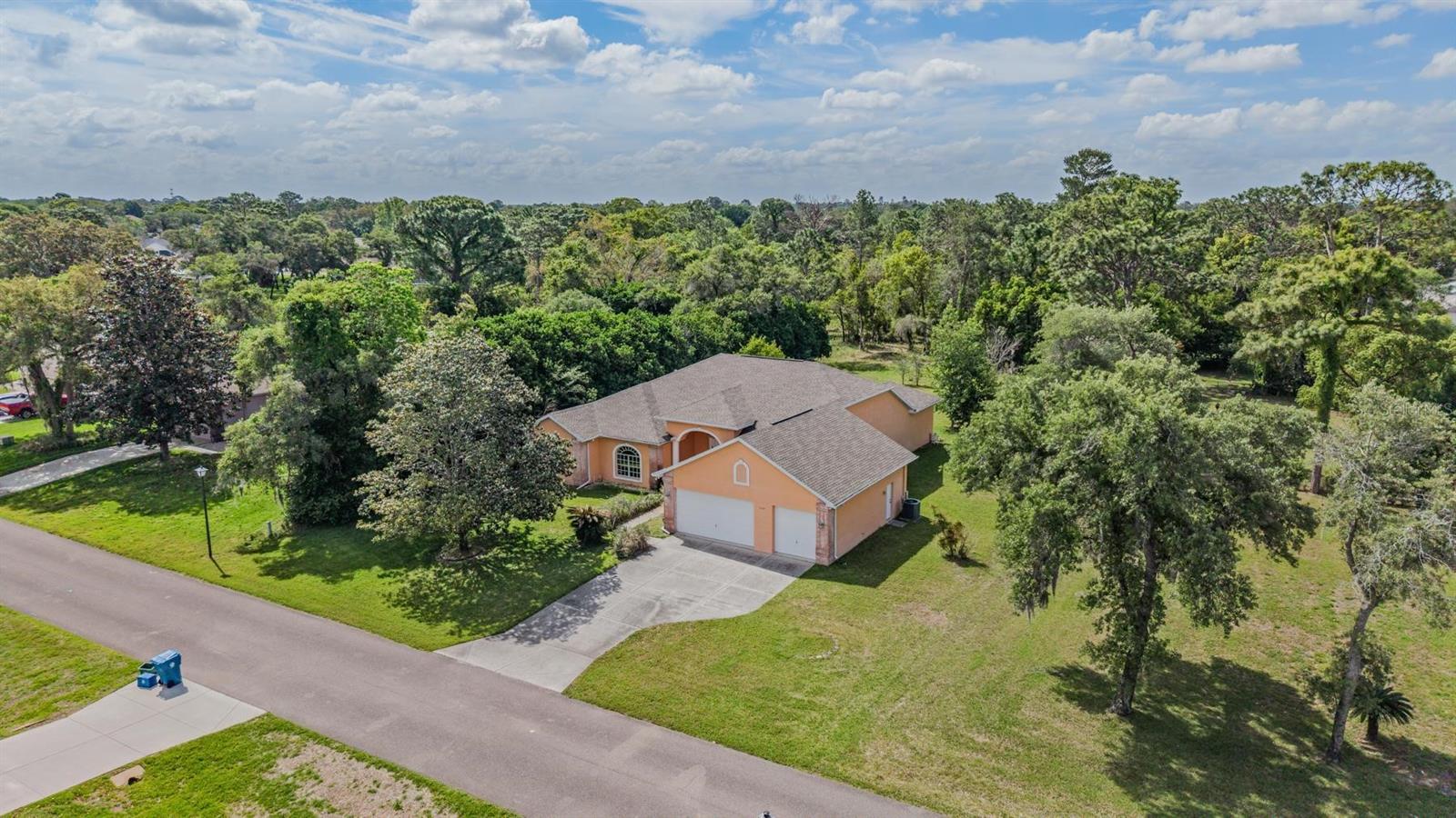 13566 RUDI LOOP, SPRING HILL, FL, 34609