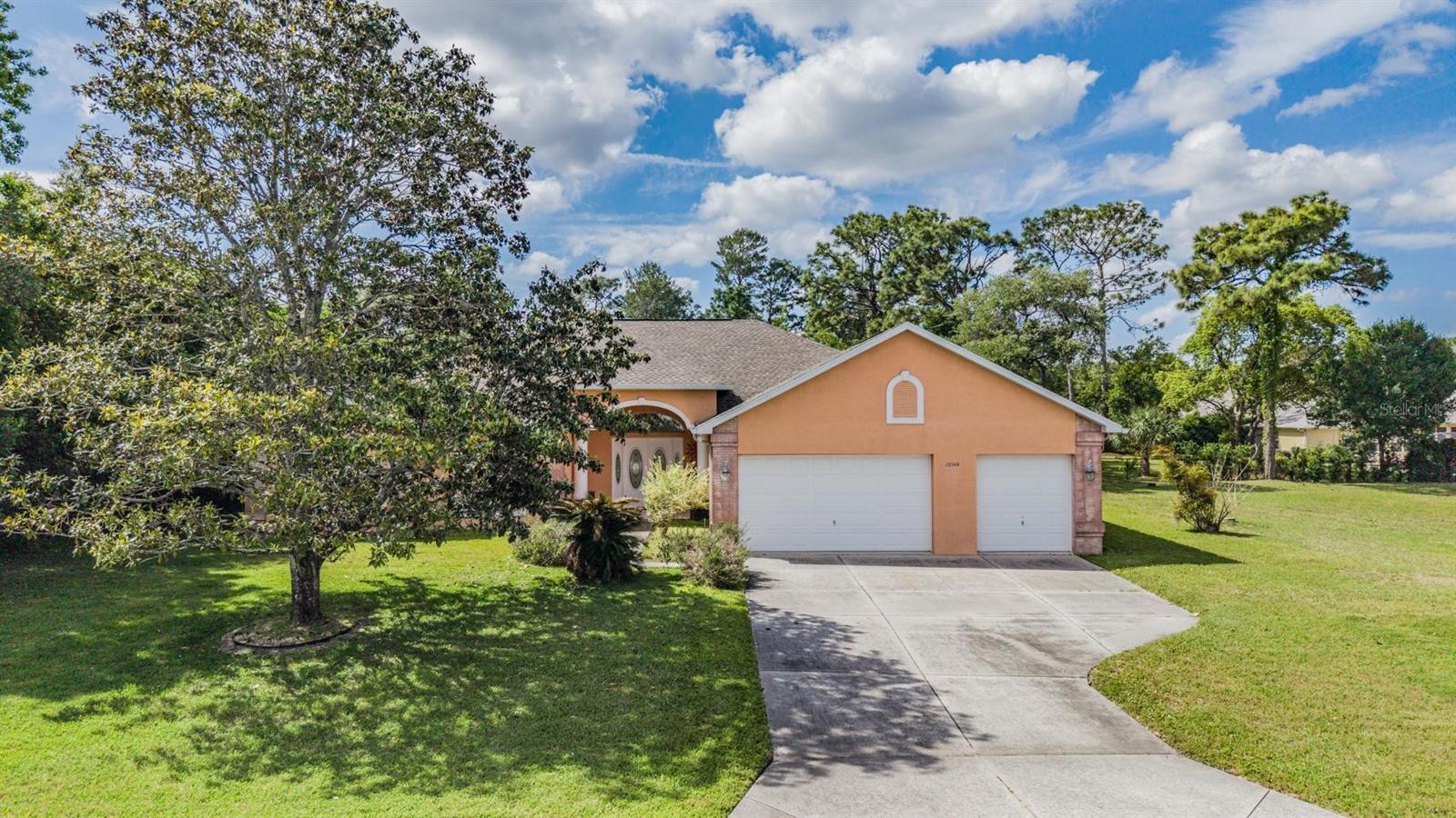 13566 RUDI LOOP, SPRING HILL, FL, 34609