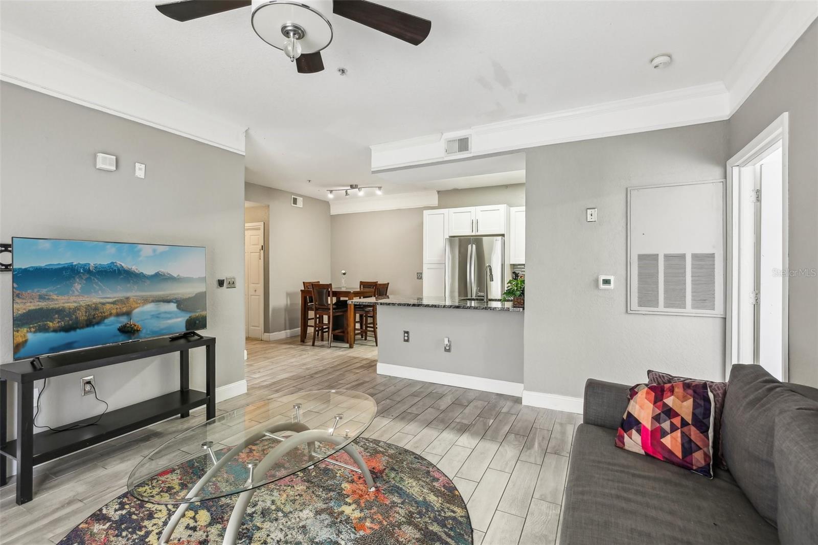 17104 CARRINGTON PARK DR #514, TAMPA, FL, 33647