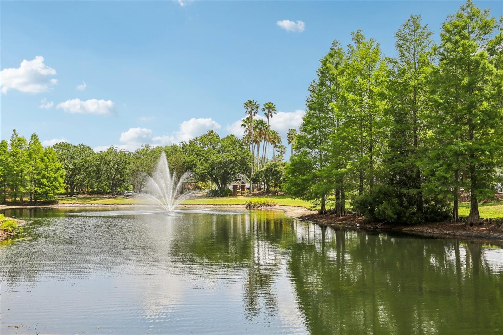 17104 CARRINGTON PARK DR #514, TAMPA, FL, 33647