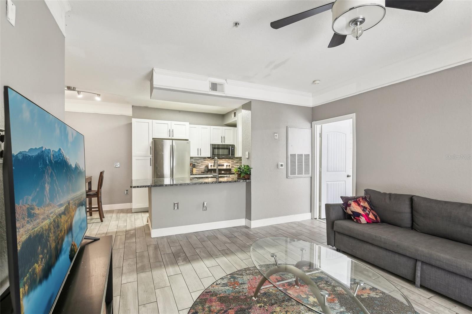 17104 CARRINGTON PARK DR #514, TAMPA, FL, 33647