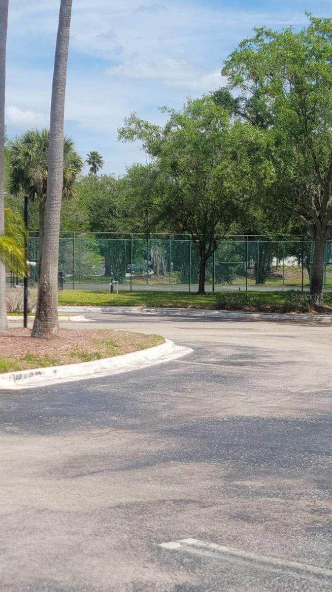 17104 CARRINGTON PARK DR #514, TAMPA, FL, 33647