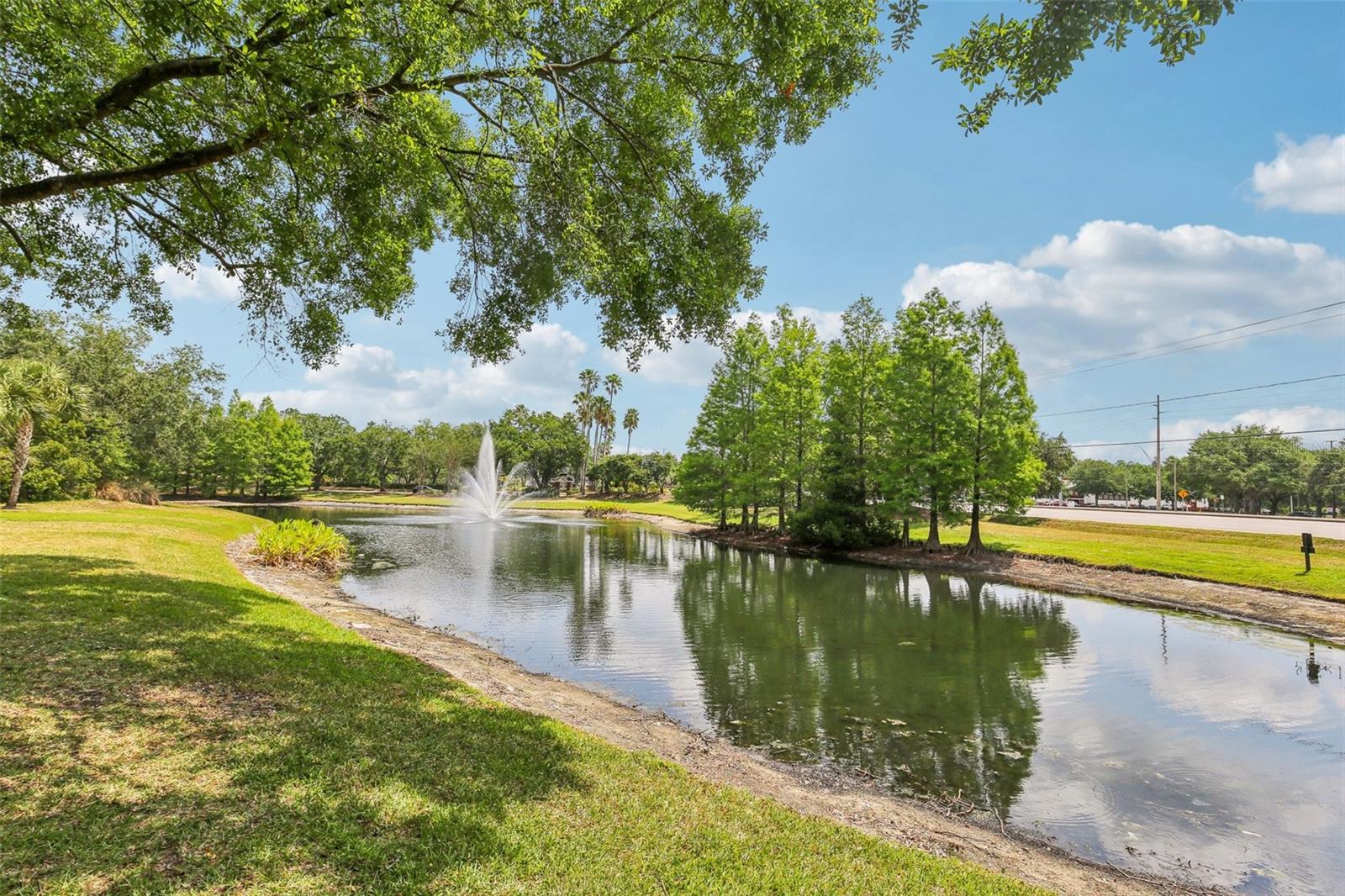 17104 CARRINGTON PARK DR #514, TAMPA, FL, 33647