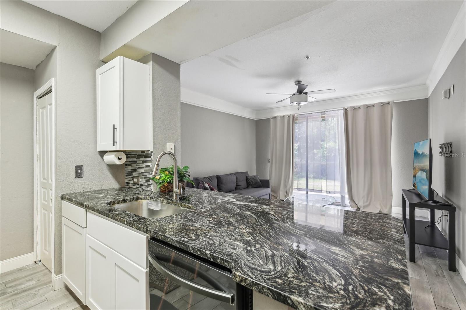 17104 CARRINGTON PARK DR #514, TAMPA, FL, 33647