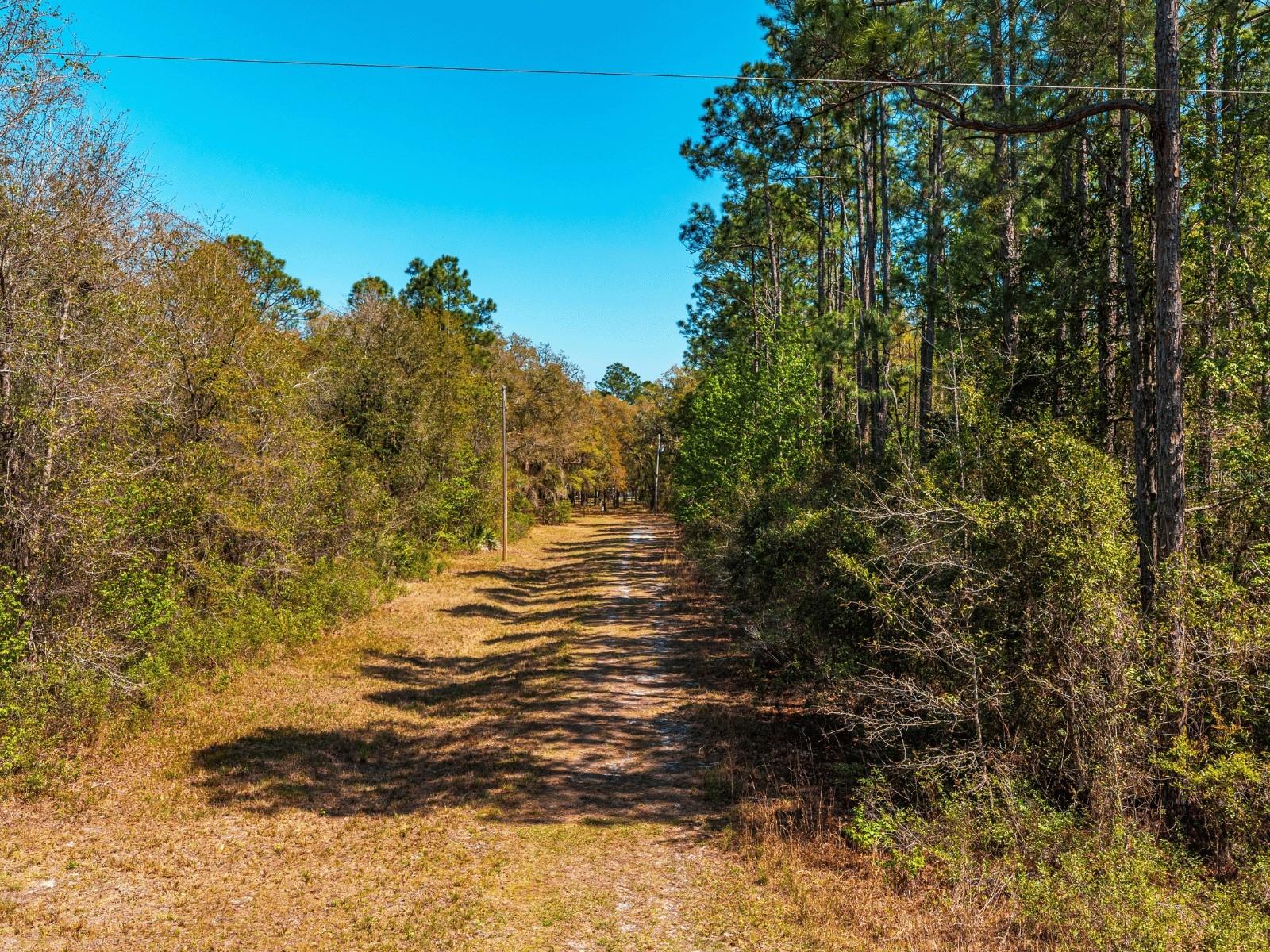 109 MOURNING DOVE WAY, GREEN COVE SPRINGS, FL, 32043