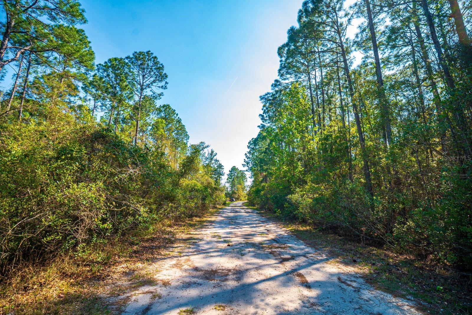 109 MOURNING DOVE WAY, GREEN COVE SPRINGS, FL, 32043