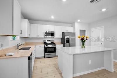 13008 MERLOT SUNSTONE CV, PARRISH, FL, 34219