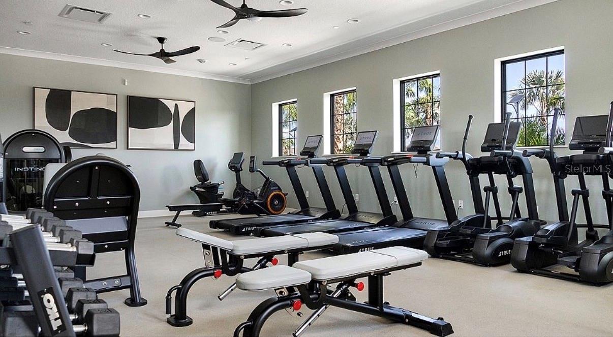 13008 MERLOT SUNSTONE CV, PARRISH, FL, 34219